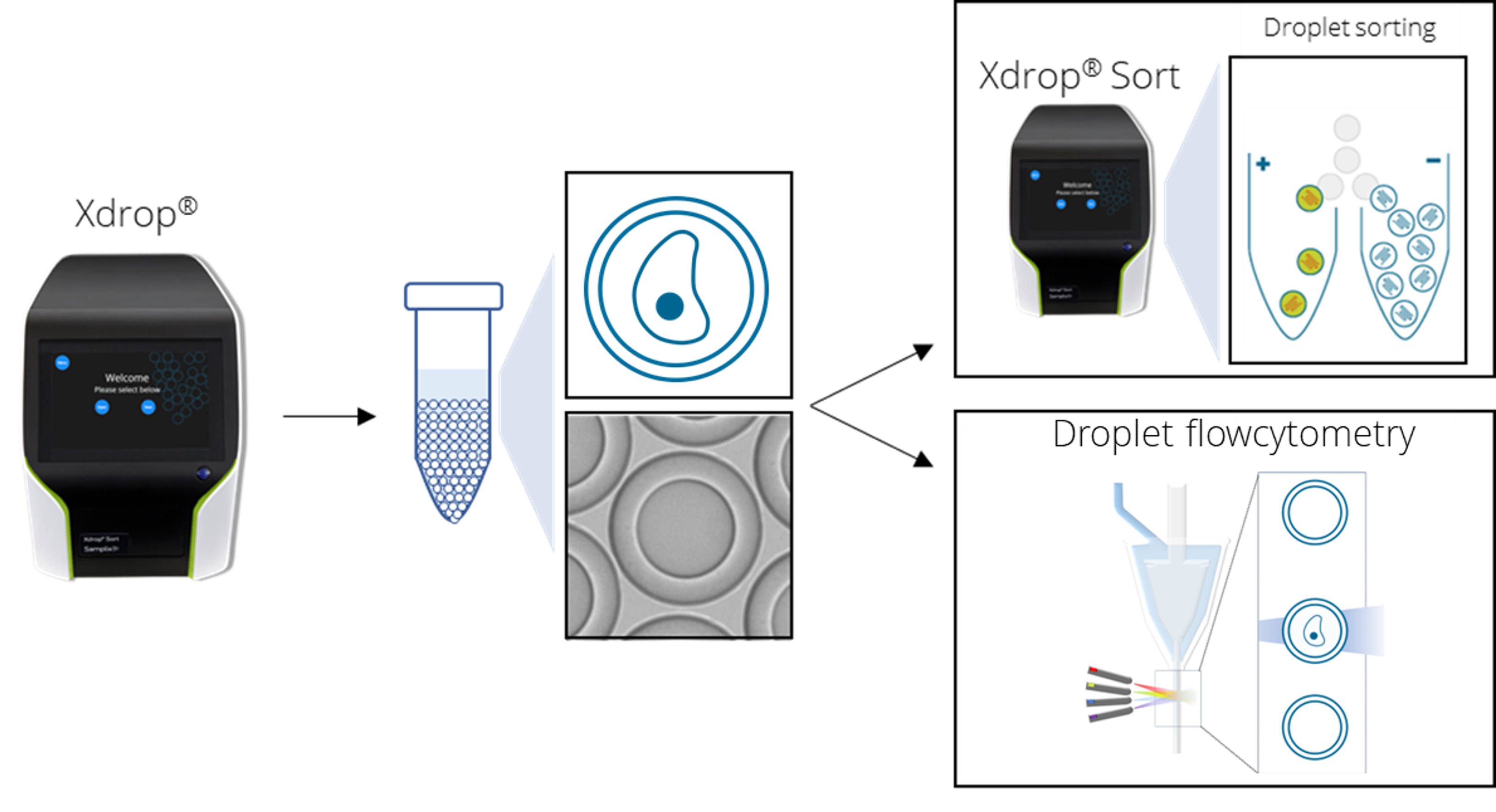 Droplet compatibility